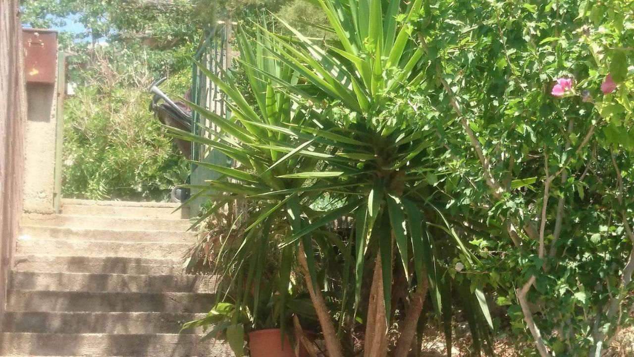 זבלטיצה Apartment Adam מראה חיצוני תמונה